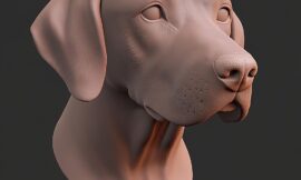 3d Dog Face Model